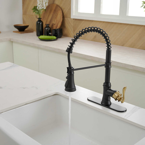 Single Handle Pull Down Sprayer Kitchen Faucet with Advanced Spray, Pull Out Spray with Deck Plate in Black and Gold